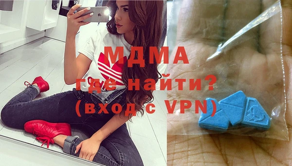 индика Пестово