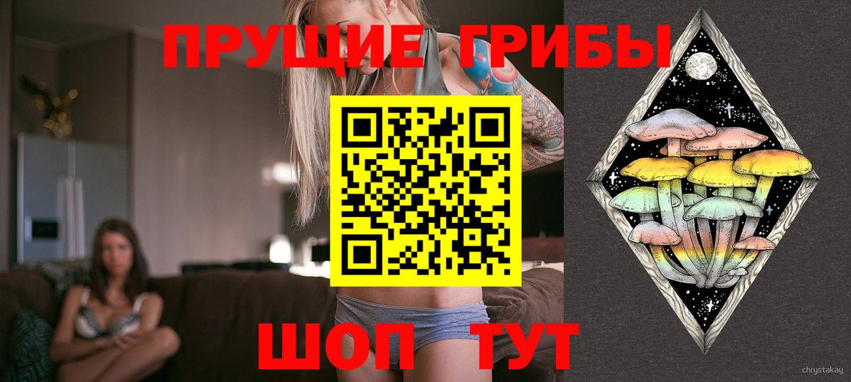Псилоцибиновые грибы прущие грибы Чайковский